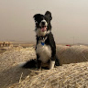 Meet your Posher, Liam